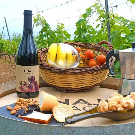 Linaje Del Pago Castellana Feriehus *