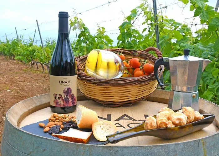 Linaje Del Pago Castellana Hébergement de vacances *